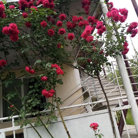 Mti House Otel Kvesheti Dış mekan fotoğraf