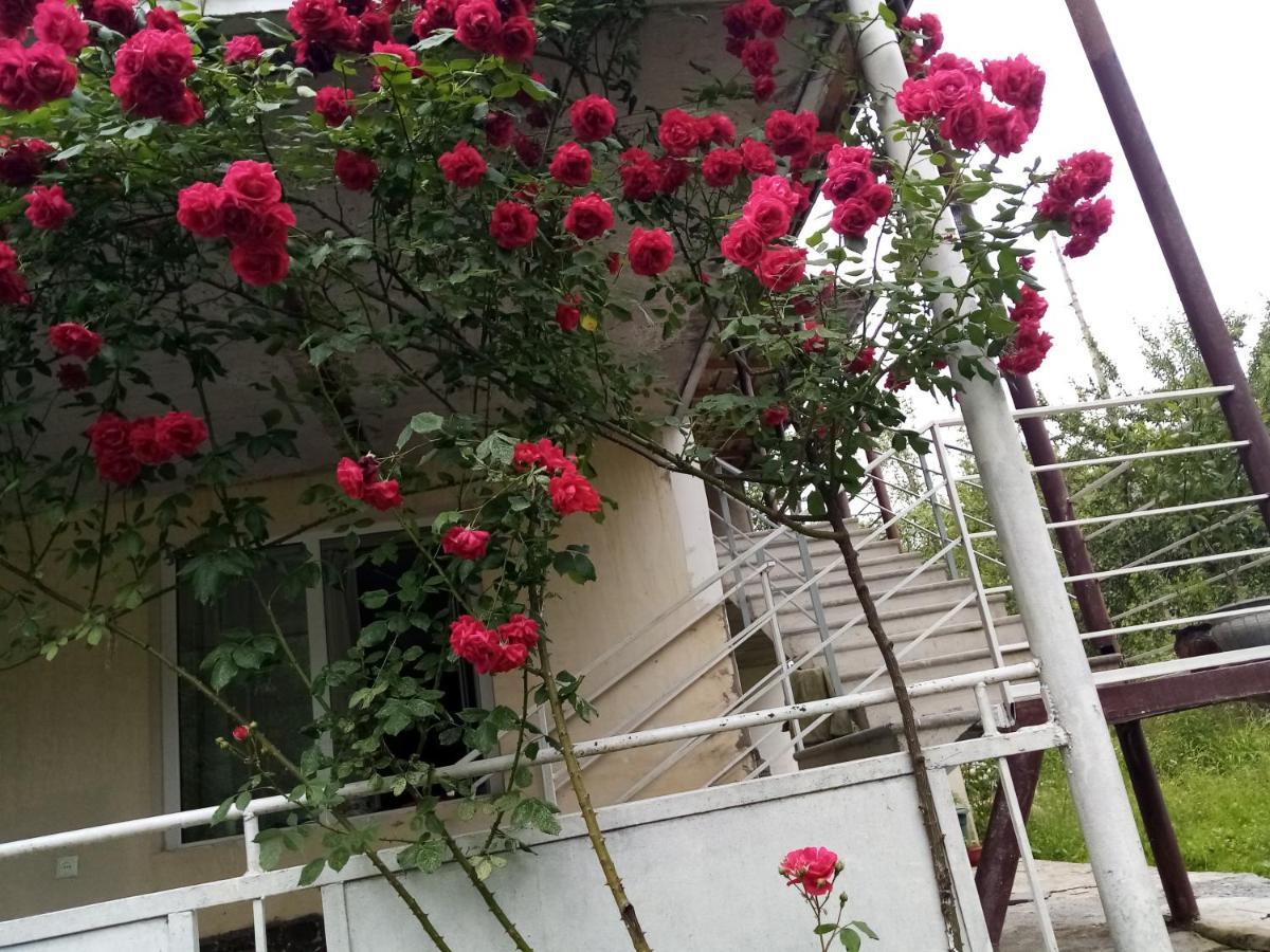 Mti House Otel Kvesheti Dış mekan fotoğraf
